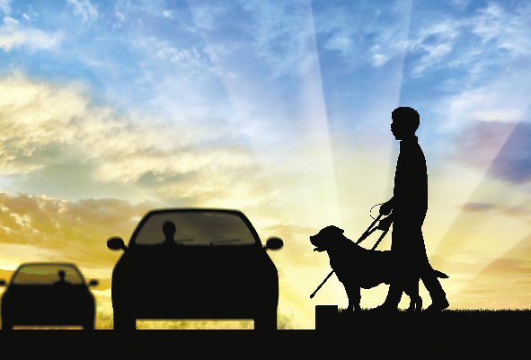 通常,导盲犬的驯导员,幼犬的抚养家庭可以优先收养它们.