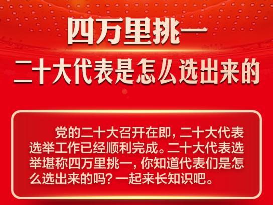 四万里挑一!二十大代表是怎么选出来的
