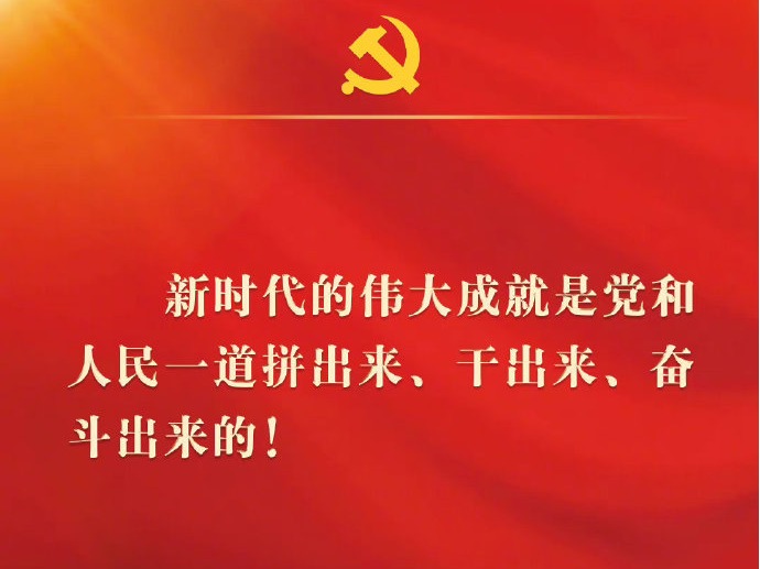 二十大报告金句