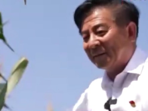 聚焦二十大|尹计平:村民全家福 见证乡村十年巨变