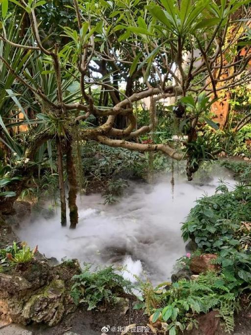 这些“氧气感”满满的温室植物园,初冬去刚刚好!