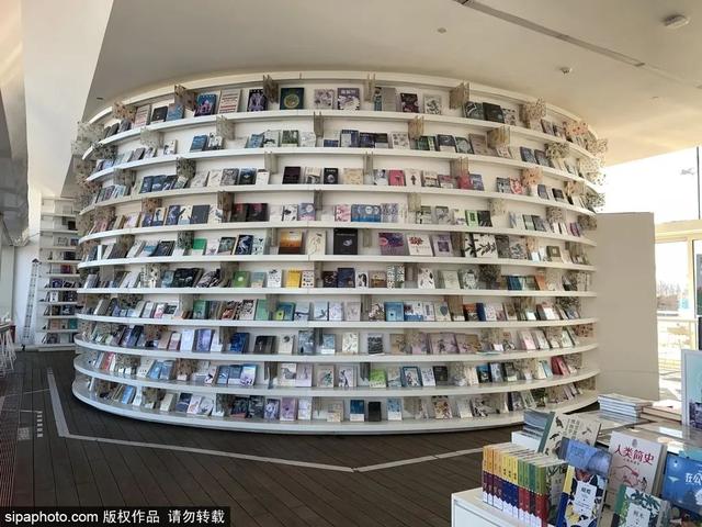 这些“氧气感”满满的温室植物园,初冬去刚刚好!