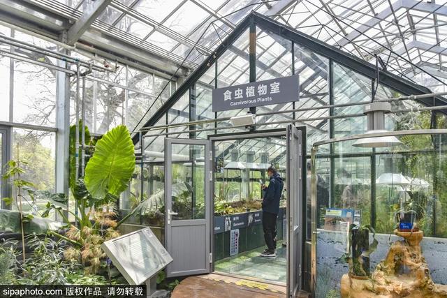 这些“氧气感”满满的温室植物园,初冬去刚刚好!