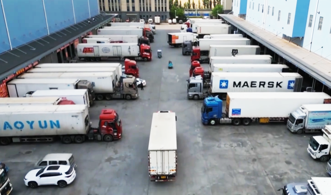 “河北净菜”进京后：满了菜篮子鼓了钱袋子(图2)