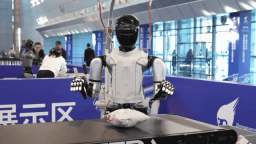 这届机器人太能干了!观众直呼“快点上岗!”(图13)