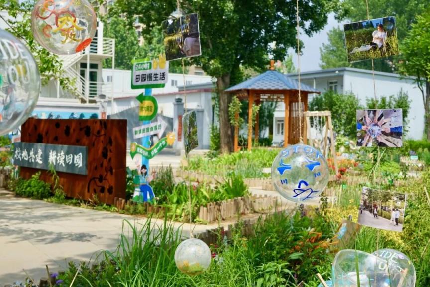 一块荒地“重生记”！学院路“耕读田园”获国际大奖背后的启示(图8)