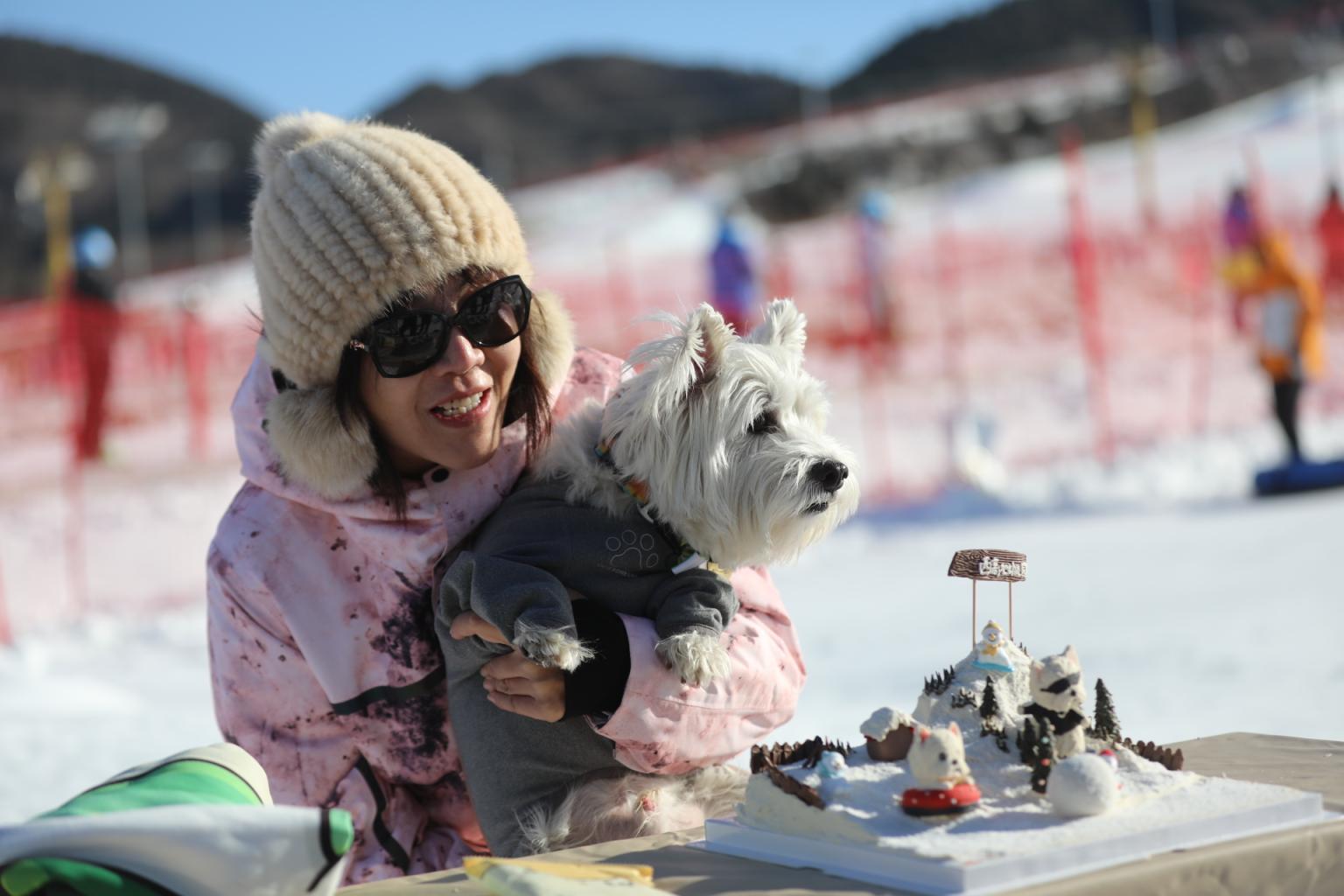 带着狗狗去平谷滑雪！首家宠物滑雪公园开园5