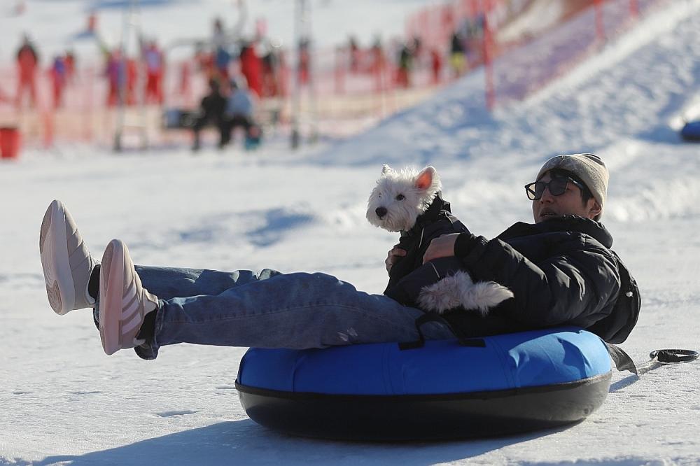 带着狗狗去平谷滑雪！首家宠物滑雪公园开园