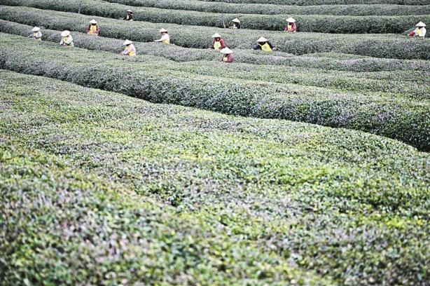 信笺中国丨让中华农业文化遗产活起来(图1)