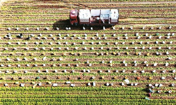 信笺中国丨让中华农业文化遗产活起来(图2)