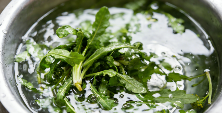 别让吃坏肚子毁了假期！清明食品安全“四要四不要”速记(图1)