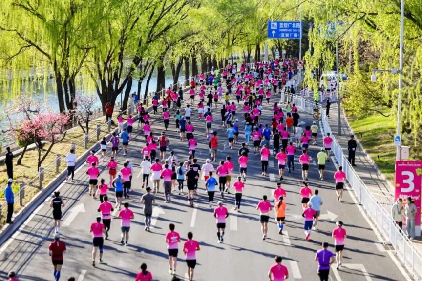 184万人次打卡！海淀文旅新玩法点燃“春日经济”活力(图15)