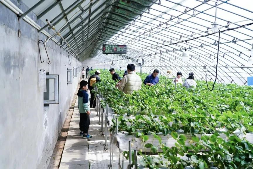 184万人次打卡！海淀文旅新玩法点燃“春日经济”活力(图9)