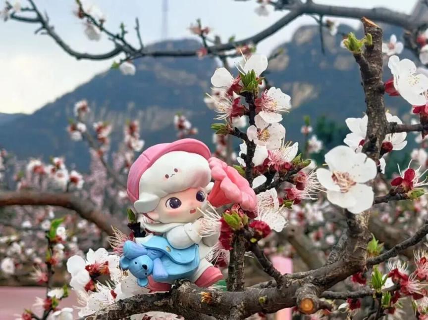 184万人次打卡！海淀文旅新玩法点燃“春日经济”活力(图12)