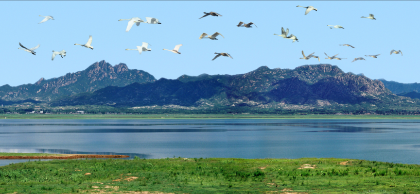 “来密云看海”——北京密云城市品牌正式发布(图3)