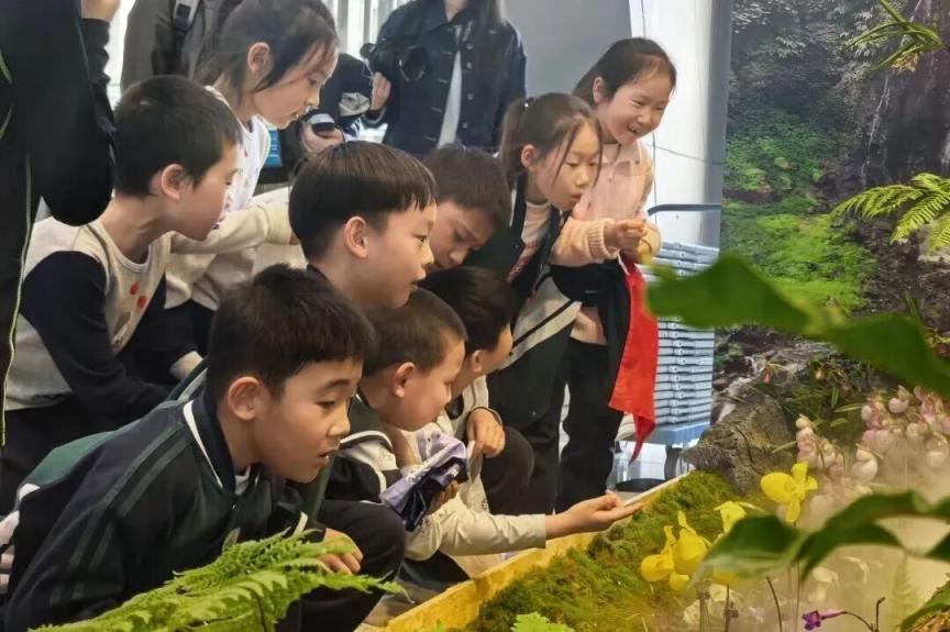 北京首批自然教育基地名单来了!3所小学入选(图4)