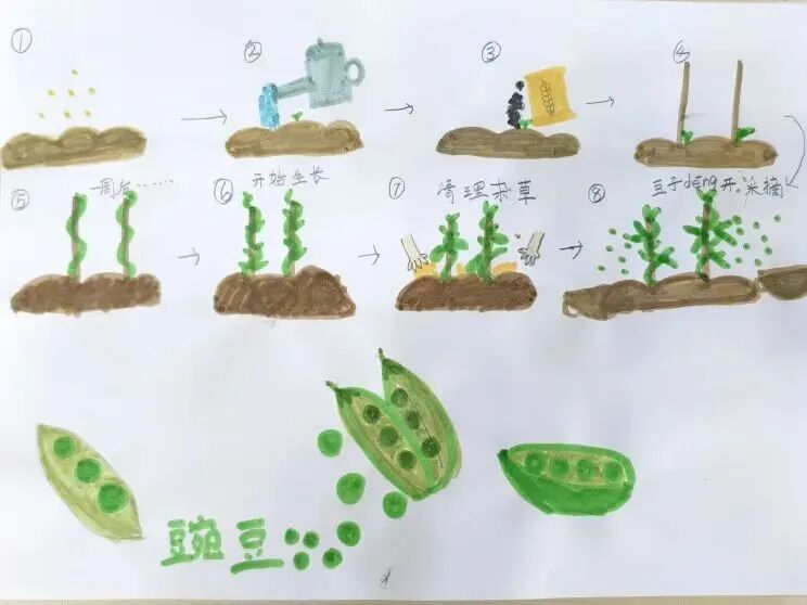 北京首批自然教育基地名单来了!3所小学入选(图5)