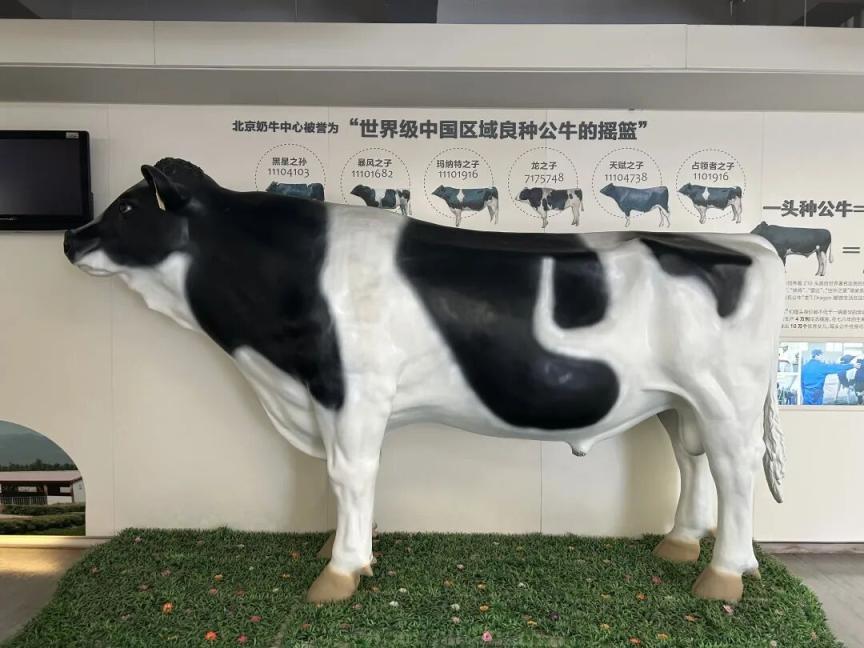 北京亦庄“五一”假期游玩攻略新鲜出炉(图5)
