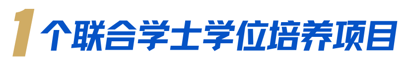 新增10个!北师大2026年本科招生专业项目升级焕新(图5)