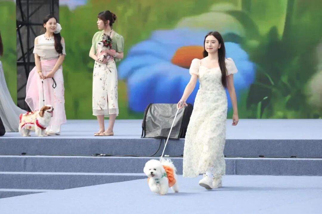 大兴西瓜节出圈记：38年老IP也能玩出新花样(图2)