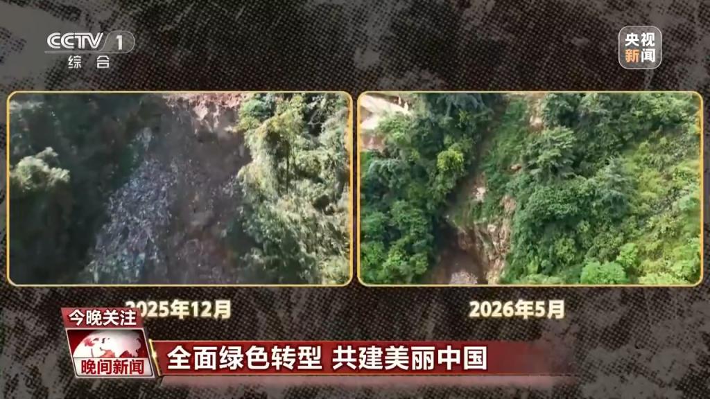绿化好了环境改善了这些新举措让百姓生活更舒心(图5)