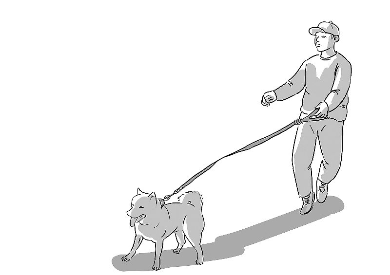 王金辉 作今年5月,张某在顺义某村村口遛狗时,一辆小型货车从此处经过