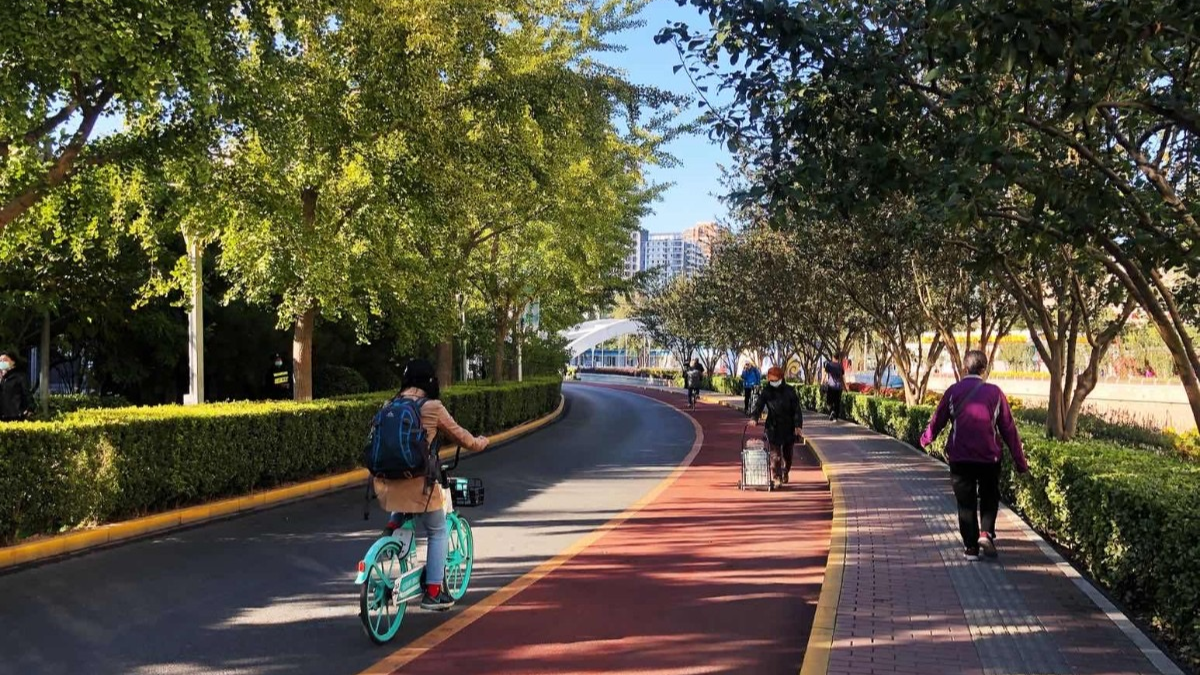 "慢行林荫路"230公里长下午3时许,走在位于莲花河西侧路旁的滨水步道