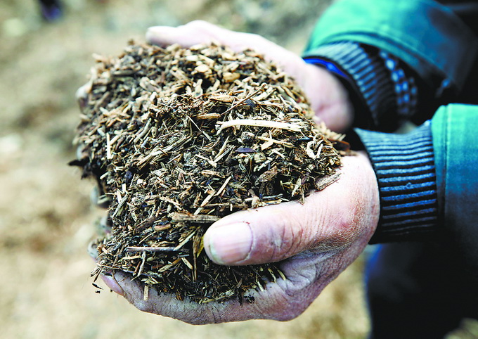 落叶回收变肥料,北京市属公园植物垃圾利用率同比提高70%