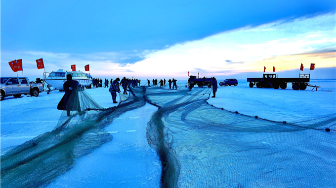 乌伦古湖冬捕节图片