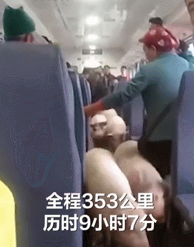 四川一火车上偶遇成群猪羊，“慢火车”为何让人很快乐？