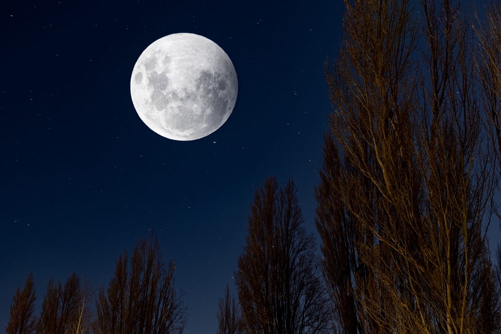 超级月亮 和 月全食 同时在夜空上演 京报网