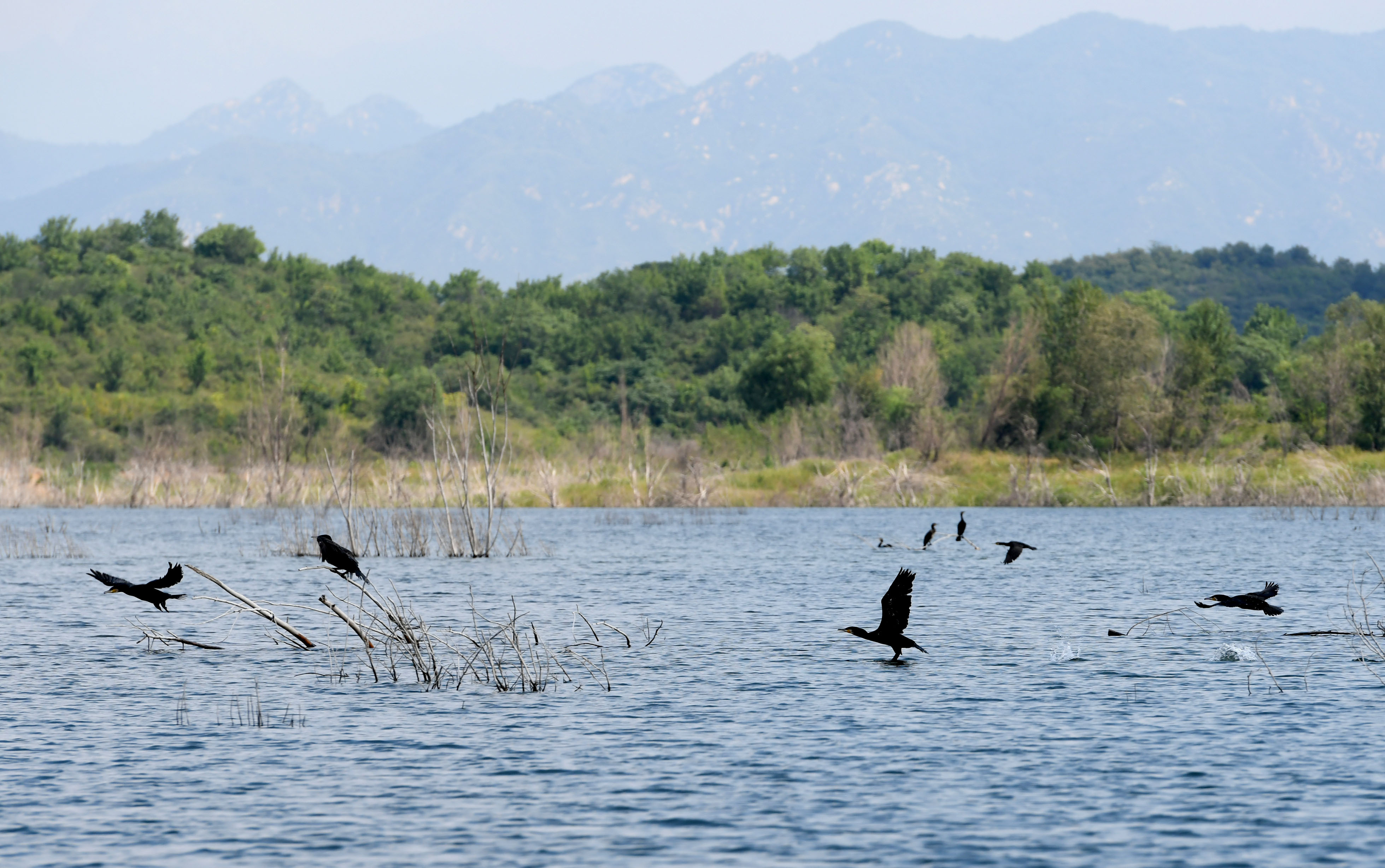北京密云水库上游将建成生态清洁小流域_京报网