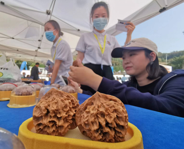 十一”来平谷熊儿寨，可赏玩“文玩核桃泰斗”狮子头