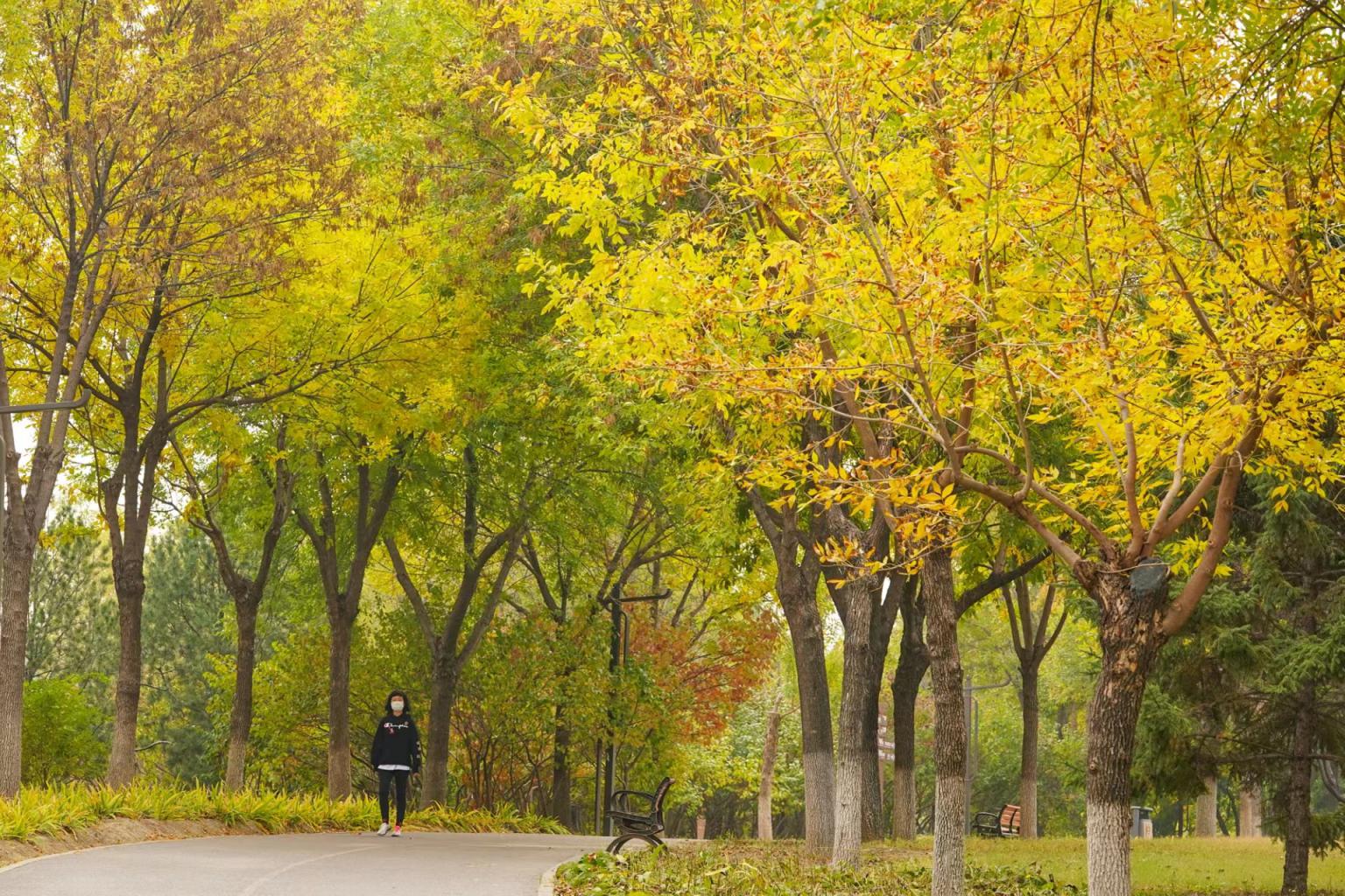 美图南海子公园秋色斑斓