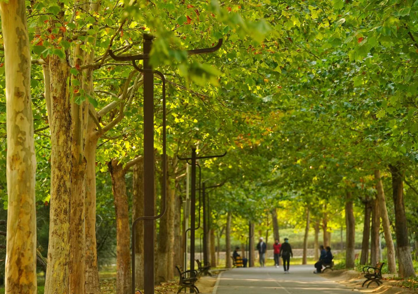 美图南海子公园秋色斑斓