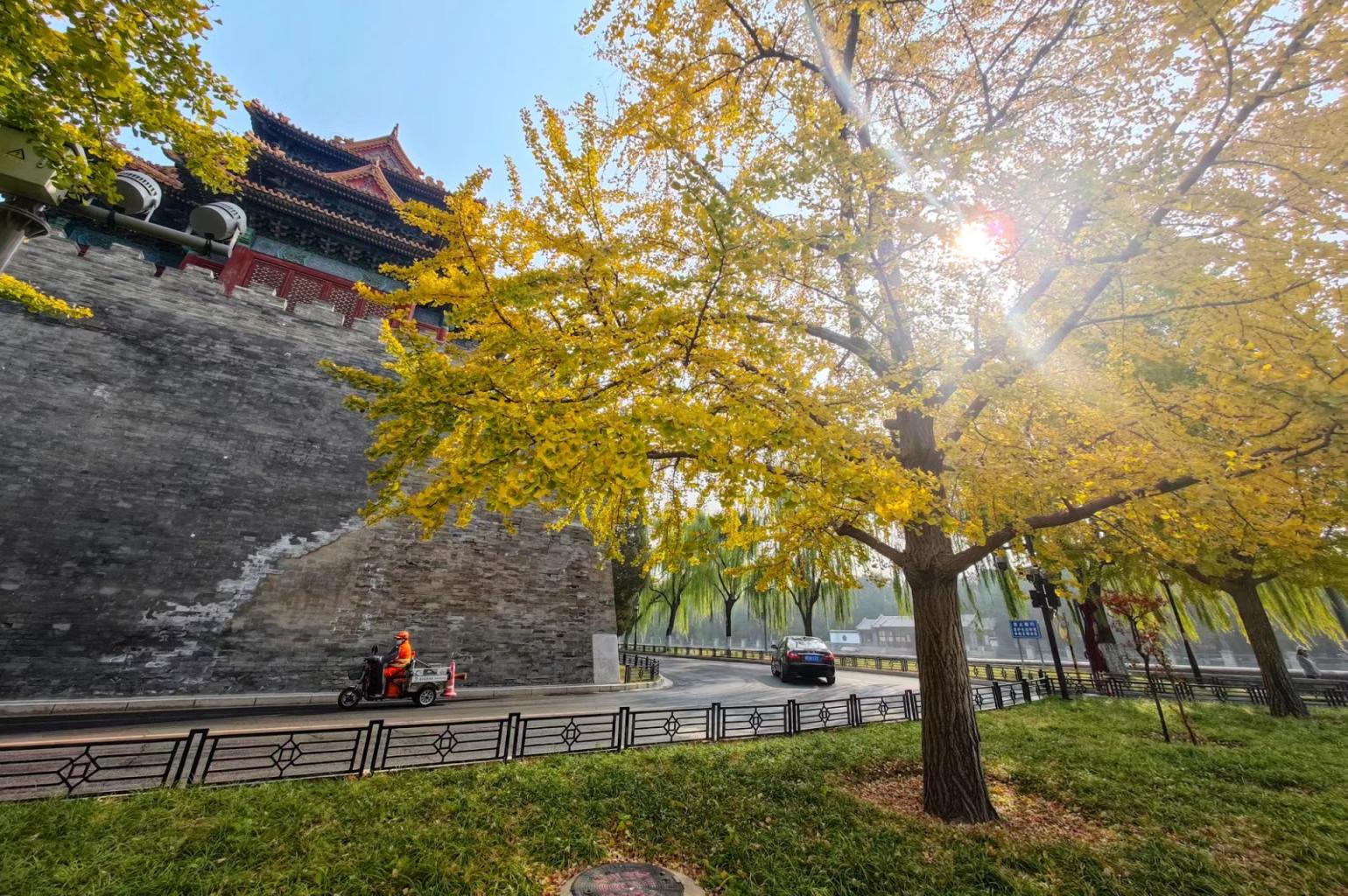 秋景图 广州超级晚霞7月21日#广州#广州塔