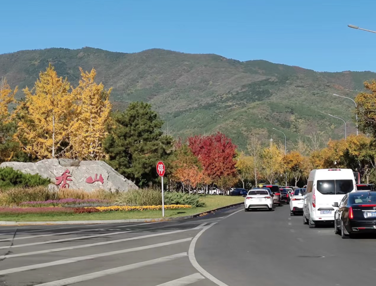 香山红叶观赏高峰期,交警将加强视频巡控和违停处罚力度_北京日报网