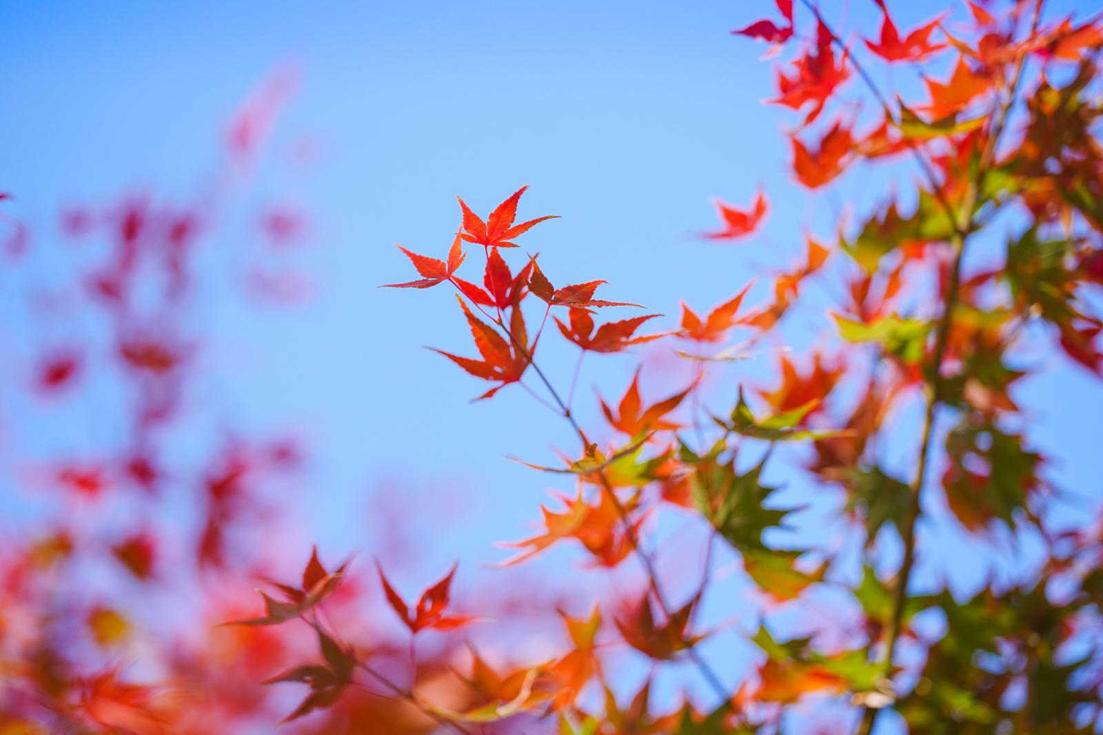 生活发现馆若无闲事挂心头便是人间好时节