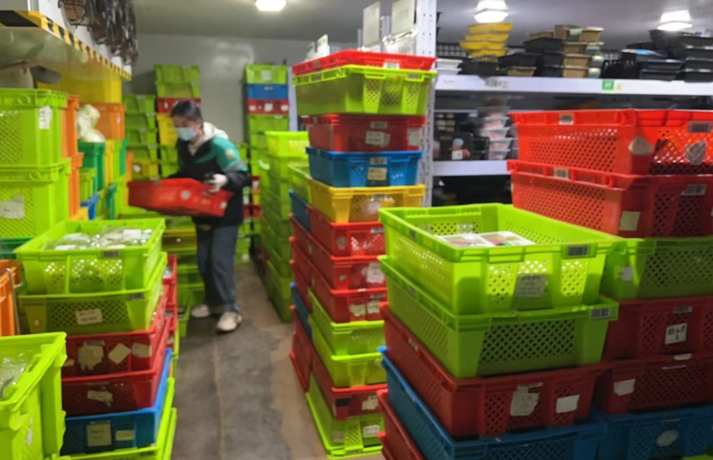 供应京冀120个前置仓,叮咚买菜通州蔬果大仓备货量激增