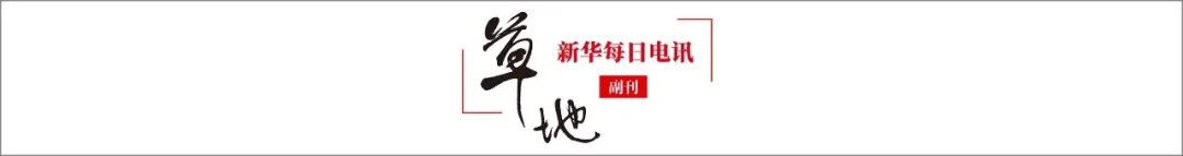 0cf3ac9345547cbfeeab60e02bfe8f43453e70a5