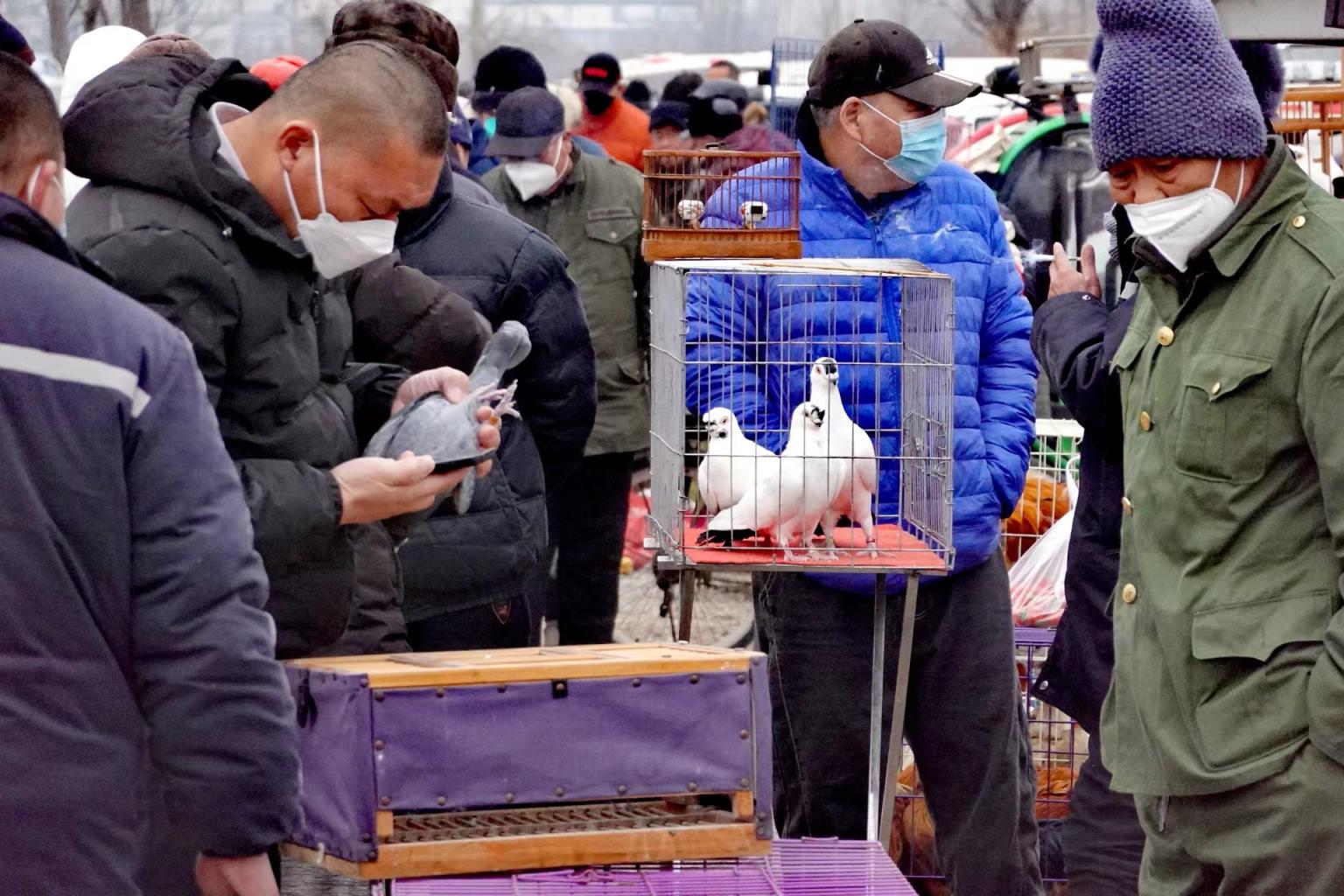 春节赶集啦时隔两年北京通州周营大集回来了