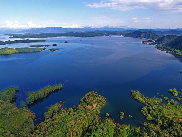 代表热议生态保护——守好“绿水青山” 收获“金山银...