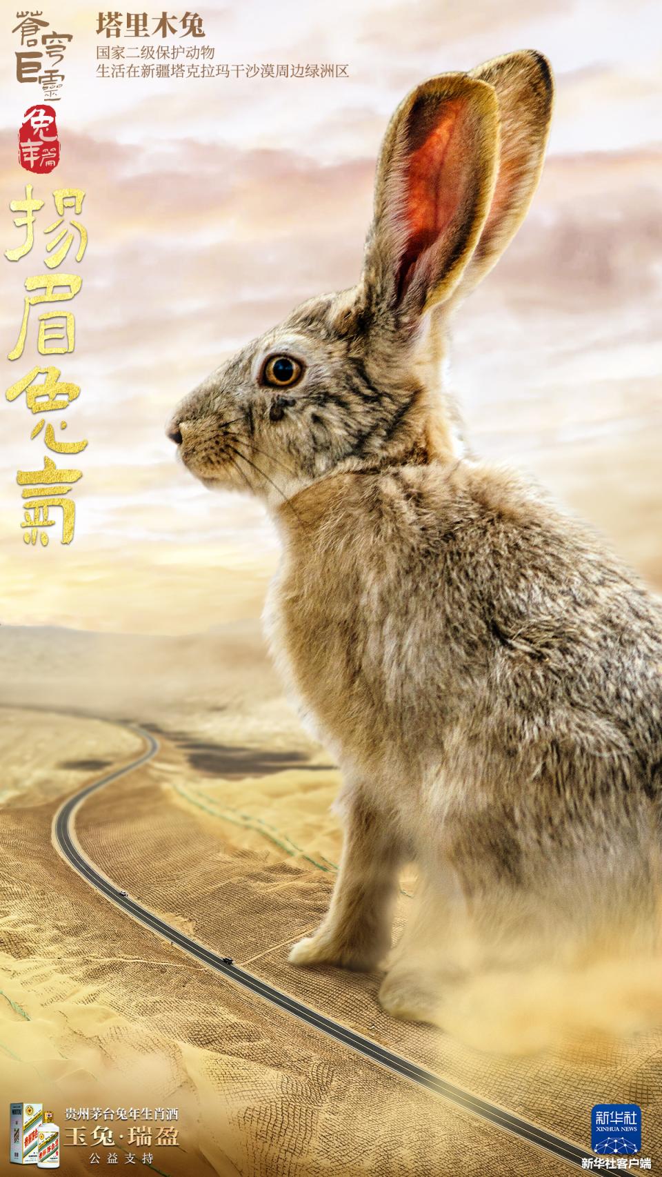 “巨兔”海报来袭!一起看《苍穹巨灵·兔年篇》_北京日报网