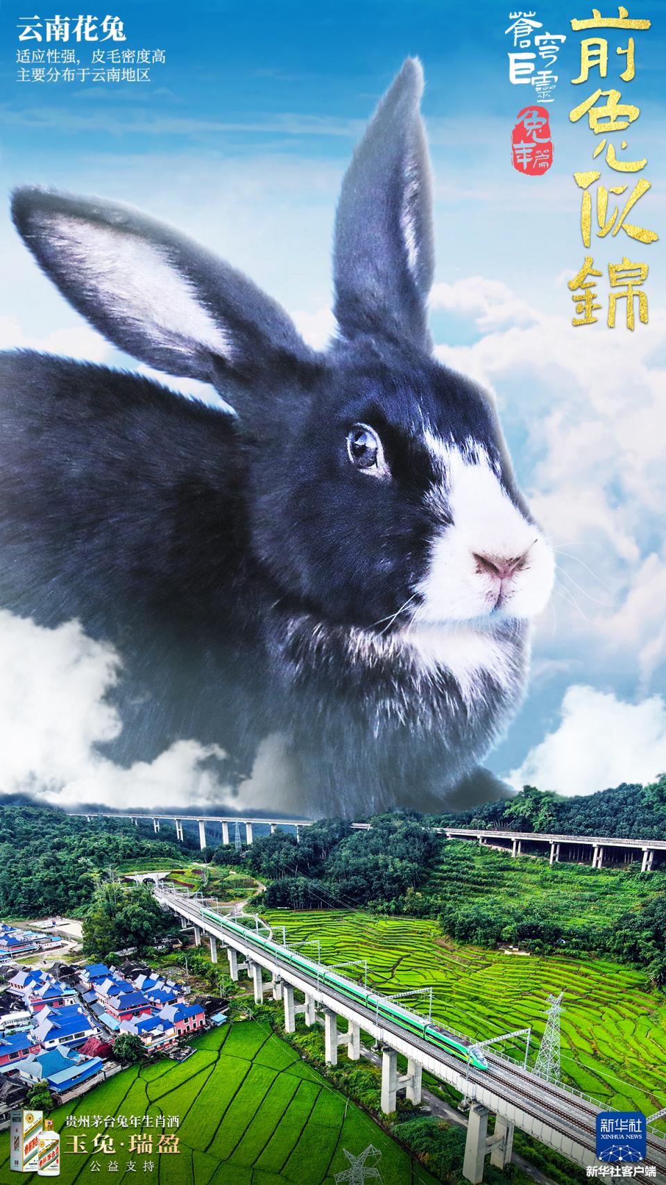 “巨兔”海报来袭!一起看《苍穹巨灵·兔年篇》_北京日报网