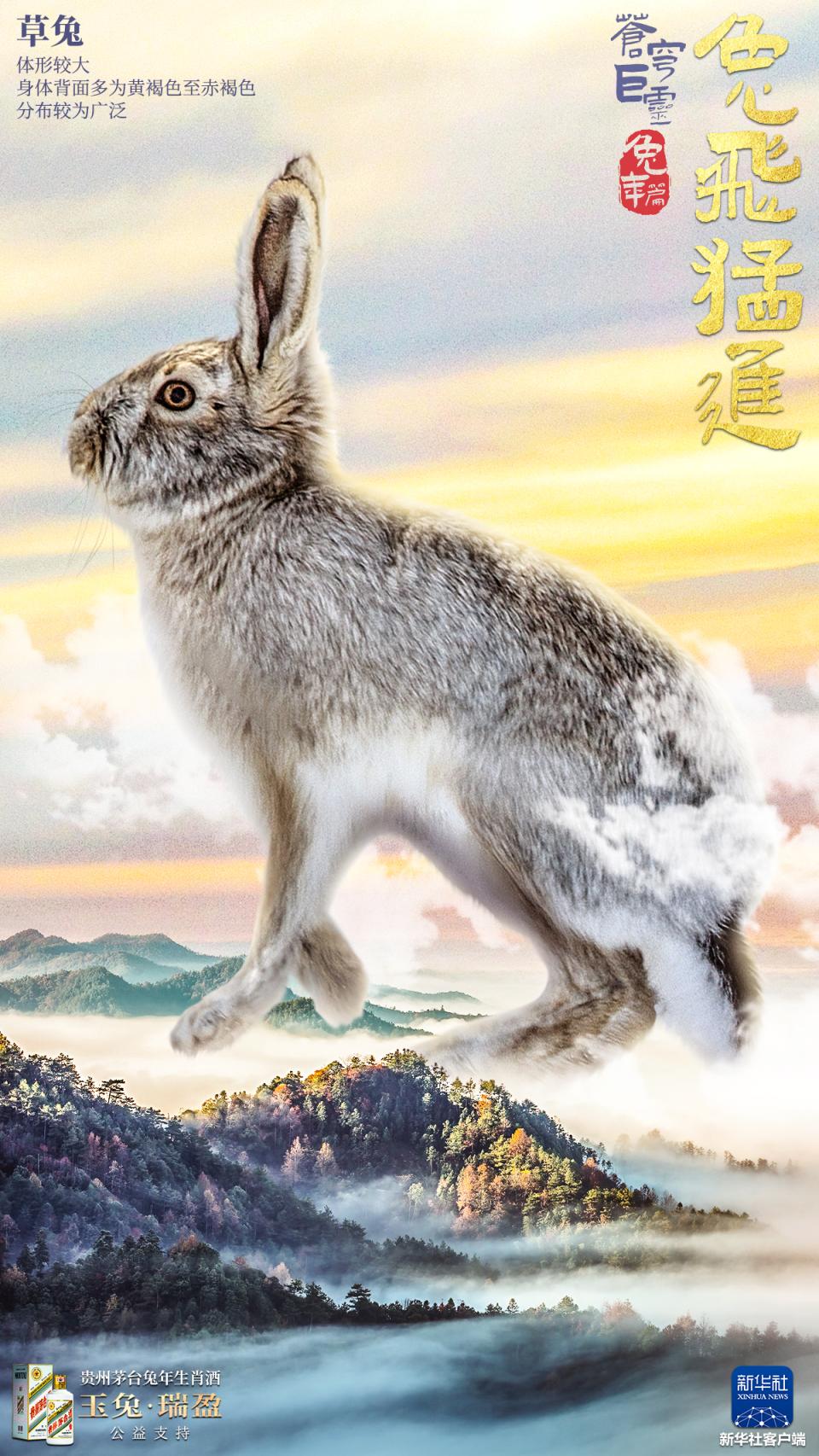 “巨兔”海报来袭!一起看《苍穹巨灵·兔年篇》_北京日报网
