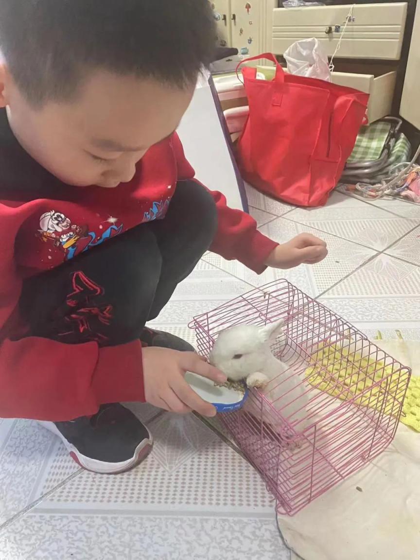 打卡亦城年味！本期含“兔”量超高→_北京日报网