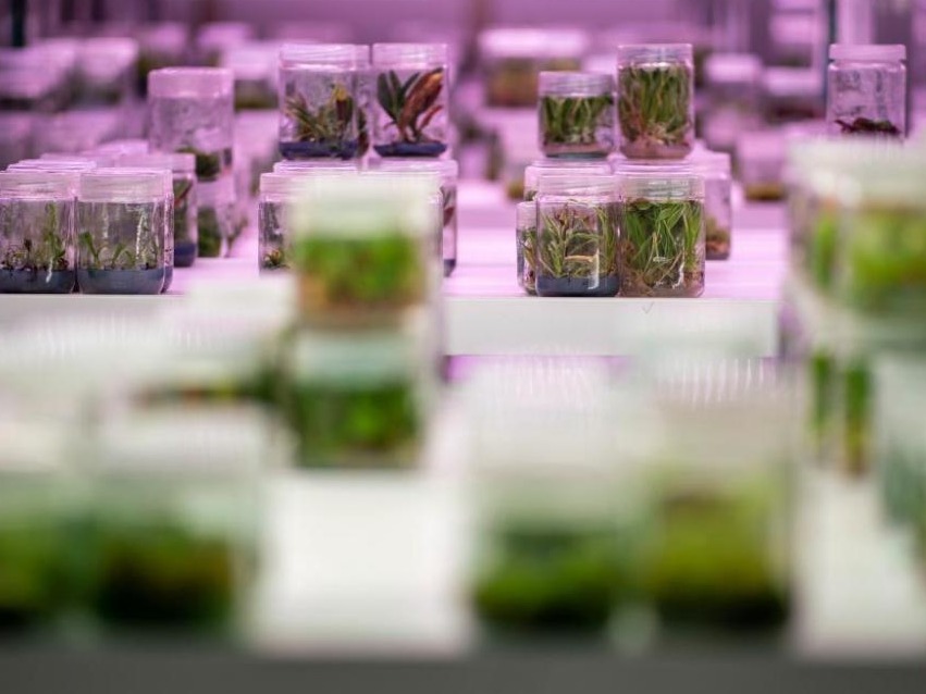 种子库,守护全球生物多样性_北京日报网