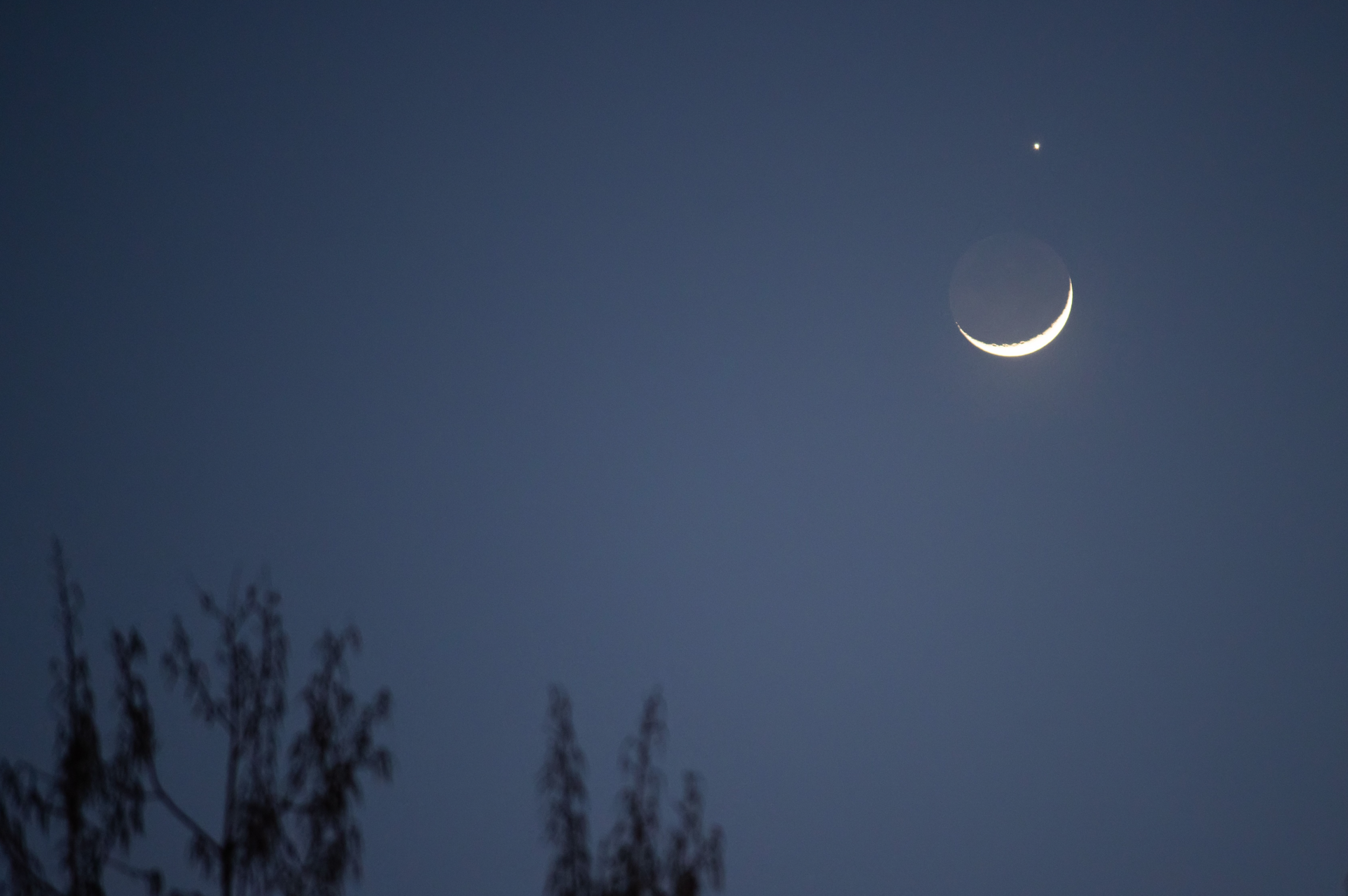 月亮与金星合相图片