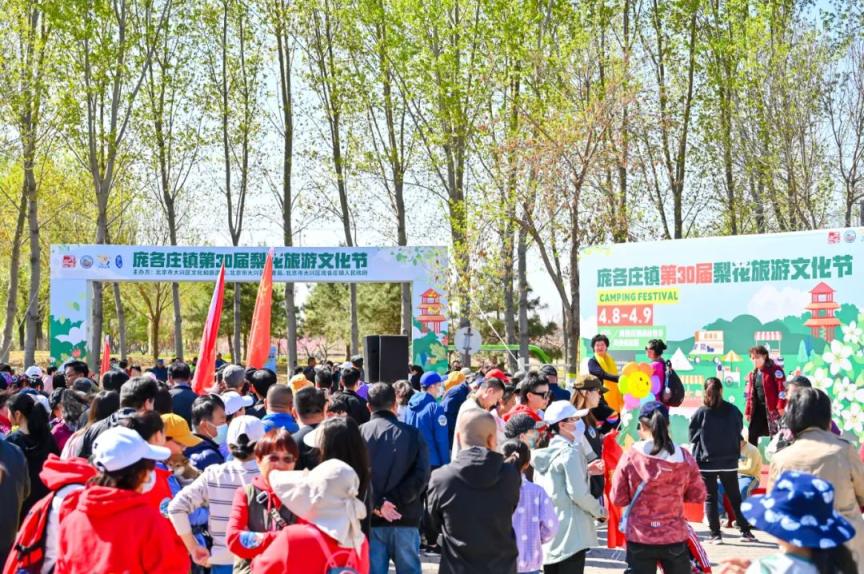 聚焦文旅新格局庞各庄镇第三十届梨花旅游文化节繁花相迎