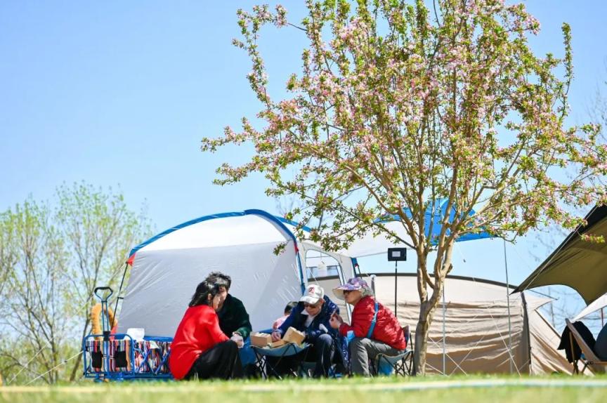 聚焦文旅新格局庞各庄镇第三十届梨花旅游文化节繁花相迎